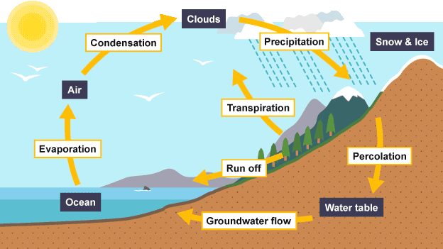 Search Results for “Water Cycle Ks2” – Calendar 2015