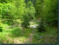 DSCN9899