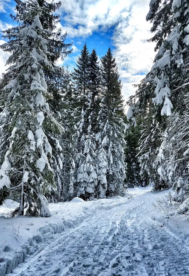 asiago altopiano dei 7 comuni inverno