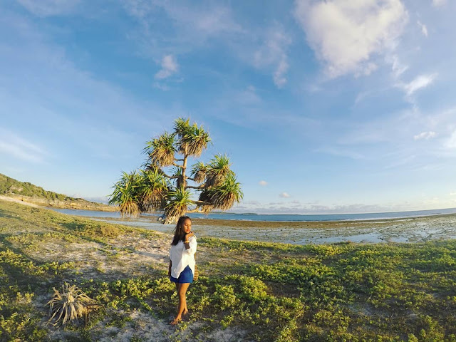 14 DESTINASI WISATA DI PULAU ROTE, PERMATA INDAH DI INDONESIA TIMUR