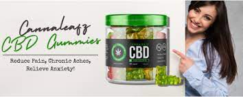 Willie Nelson CBD Gummies Reviews | Treatment for Anxiety and Stress!