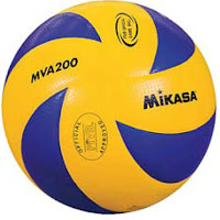 Resultado de imagen para balon de voleibol definicion