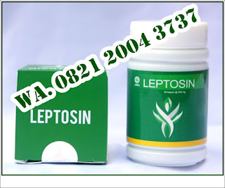 leptosin center, leptosin slimming, 081324619468