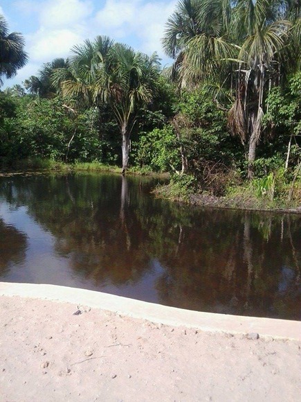 Balneário do Gepuba - Guimaraes, Maranhao, foto: Pagina Gepuba Guimaraes Maranhao