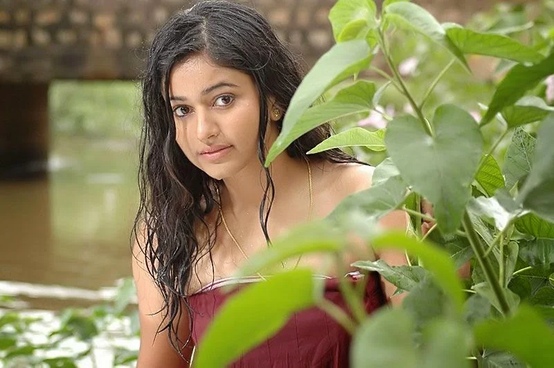 Poonam Bajwa Wet Bath Photos