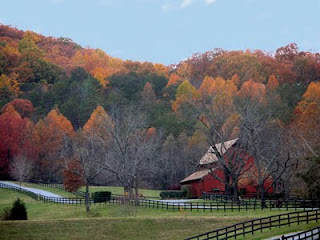 Landscaping Va