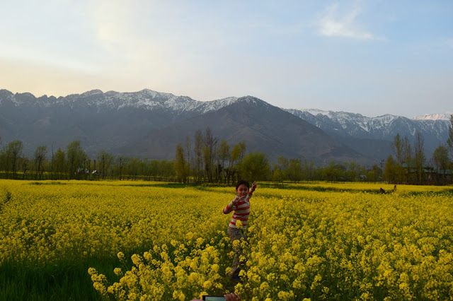 backpacking kashmir