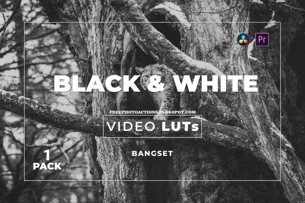 bangset-black-white-pack-1-video-luts-u6t5un3