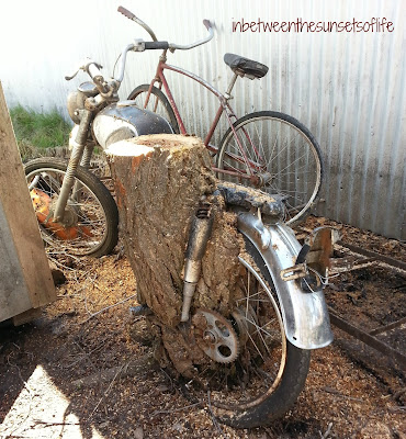 Bike Tree Grown In