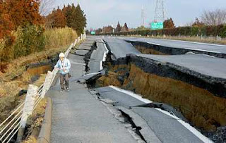 Performance of Japanese Structures against Honshu Earthquake