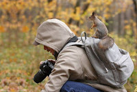 Fotos de encuentros entre fotógrafos y animales