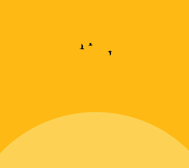 Galaxy S3 Wallpaper - Birds Around The Sun