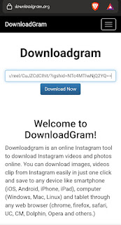 Downloadgram Instagram Reel Downloader