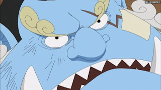 ワンピースアニメ 頂上戦争編 491話 ジンベエ | ONE PIECE Episode 491