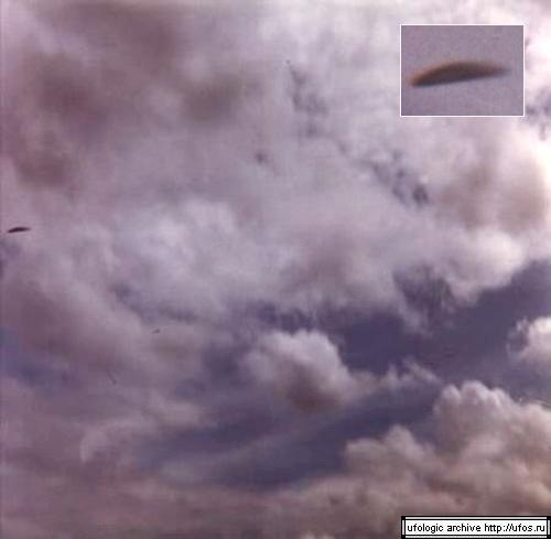 Forest Ufo Extraterrestrial 3