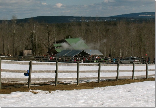 Sugar house Megquier Hill  (3)