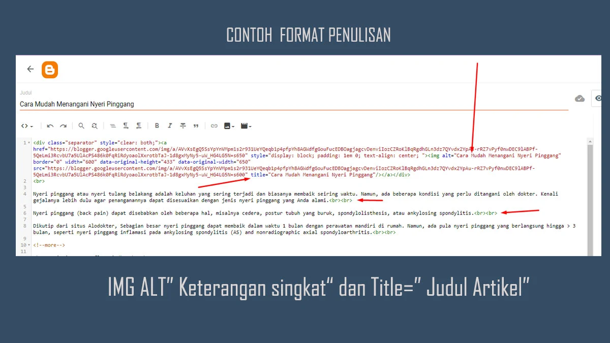 Format Penulisan HTML di Template Detik