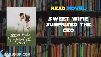 Read Sweet Wifie Surprised the CEO Novel Full Episode