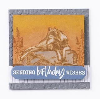 Stampin' Up! Wildlife Wonder Masculine Card Ideas