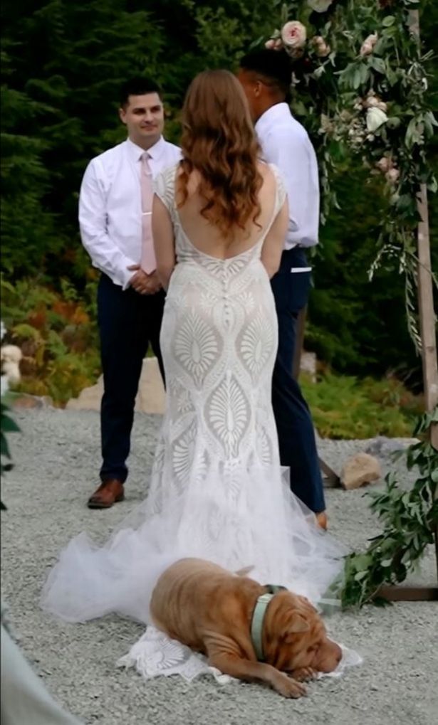 Dog takes snooze on bride’s train during vows