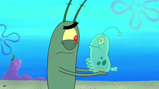 plankton