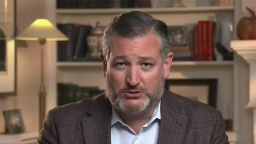 Cruz: Dems Did Well In Midterms Because They Engaged "Whacked-Out Lefty Nut Job" Base