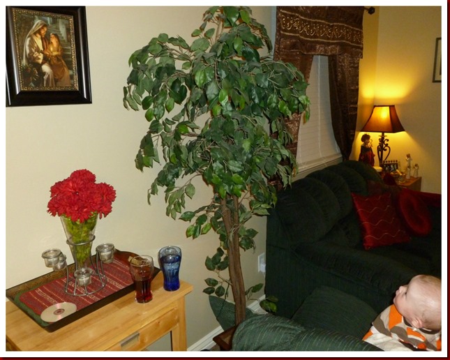 spring2012-32