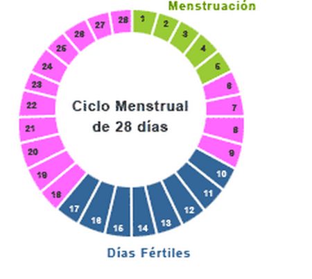 posiciones para salir embarazada de hembra