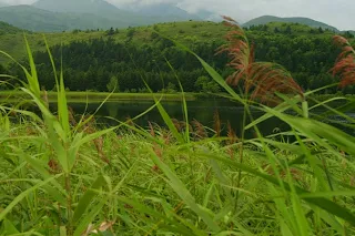 秋口の山