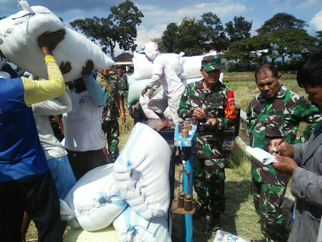 DANDIM 0726 SUKOHARJO HIMBAU PETANI JUAL HASIL PANEN KE BULOG