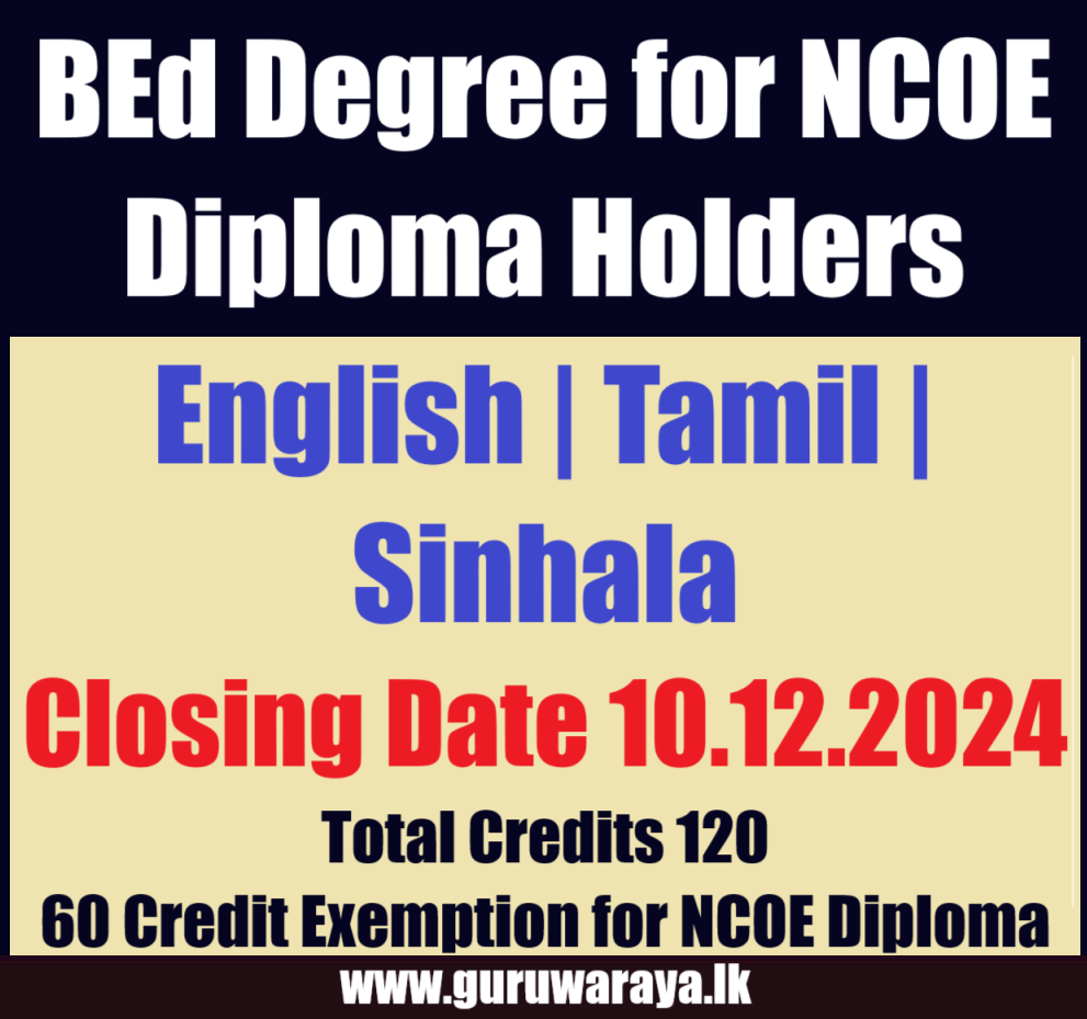BEd Degree for NCOE Diploma Holders