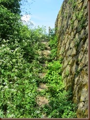 sentier-retourvillag_5588