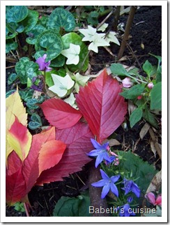 automne
