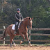 **Open Schooling**Ring Use**Group Sessions**$25 per horse**