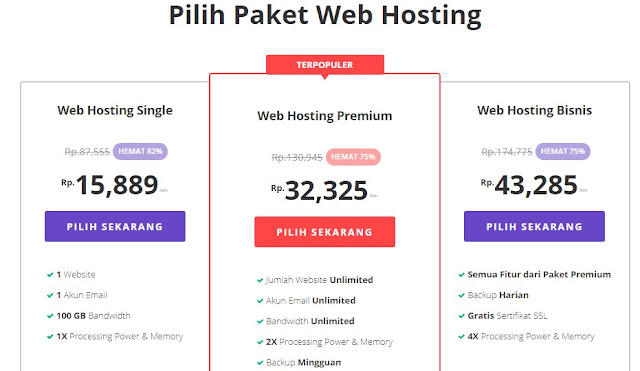 Hostinger Hosting Plan