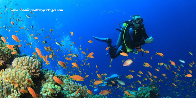 Scuba diving in Andaman