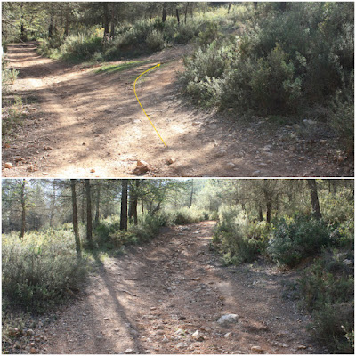 SANT MAGÍ DE LA BRUFAGANYA A LA BISBAL DEL PENEDÈS PR-C-224 AMB VARIANTS, Camí paral·lel al Torrent de Sant Marc