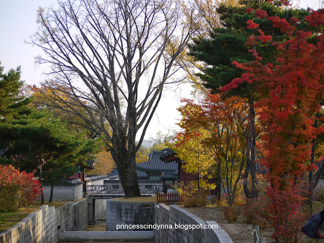 trees and stairs