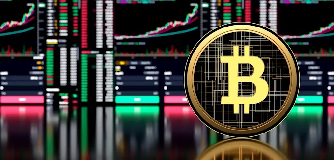  Bitcoin Forecast | Will the Price of Bitcoin Rise or Fall in the Near Future?