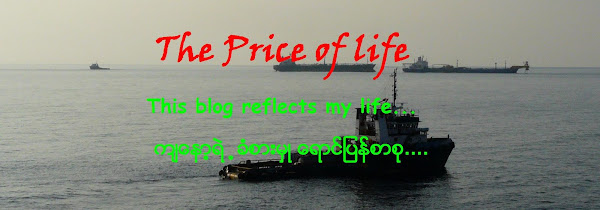 THE PRICE OF LIFE