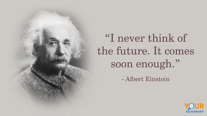 Exploring Albert Einstein's IQ