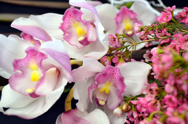 types of flowers orchids White Cymbidium Orchids Flower | 800 x 530