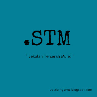 stm : sekolah terserah murid