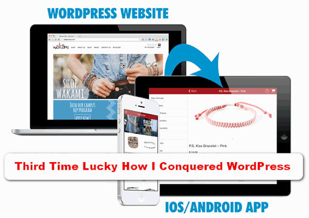 Third Time Lucky How I Conquered WordPress Update 2022