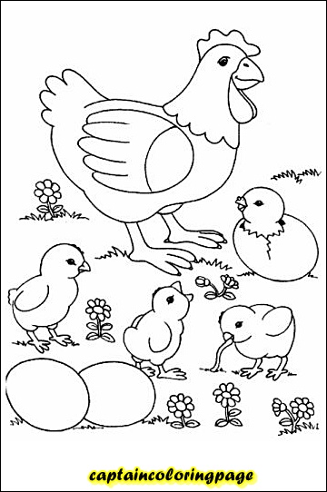 Download Coloring book pdf download