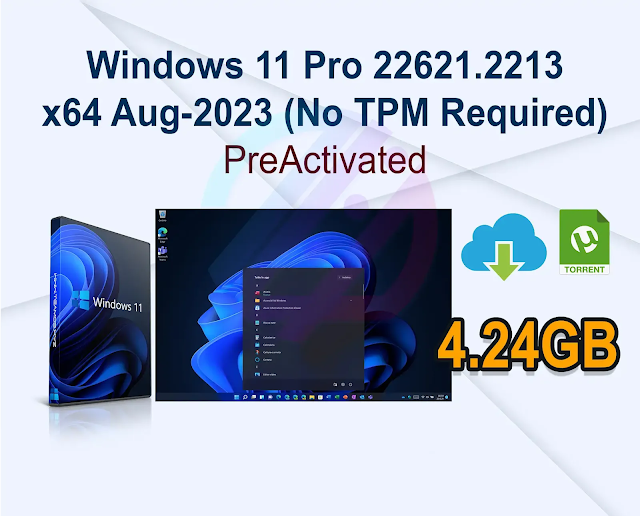 Windows 11 Pro Education 22H2 Build 22621.2134 (No TPM Required) Preactivated Multilingual August 2023