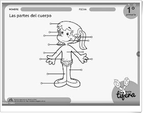 "Las partes del cuerpo" (Fichas recortables de Ciencias Naturales de Primaria)