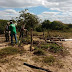 Operação desmobiliza ocupação irregular de Área de Preservação em Gargaú