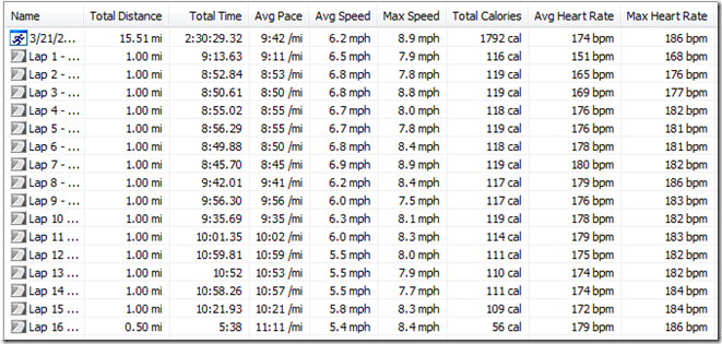 2011-03-21_1307garmin