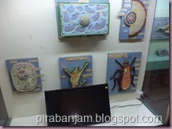 DSC00629